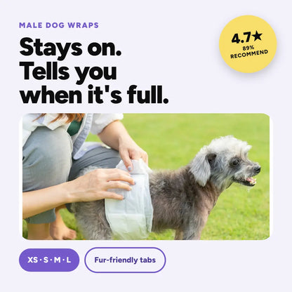 Petsworld Disposable Male Dog Diapers - Super Absorbent Belly Bands with Wetness Indicator, Leak-Proof Design for Marking, Incontinence, and Potty Training, Available in Sizes XS-L